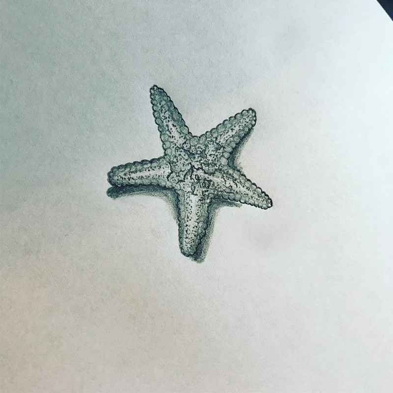 做手机维修的叶小姐海星纹身手稿
