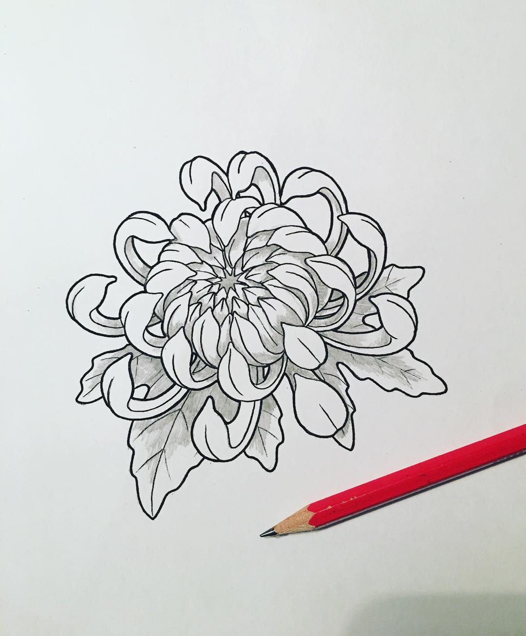 搞物流运输的扶先生菊花纹身手稿