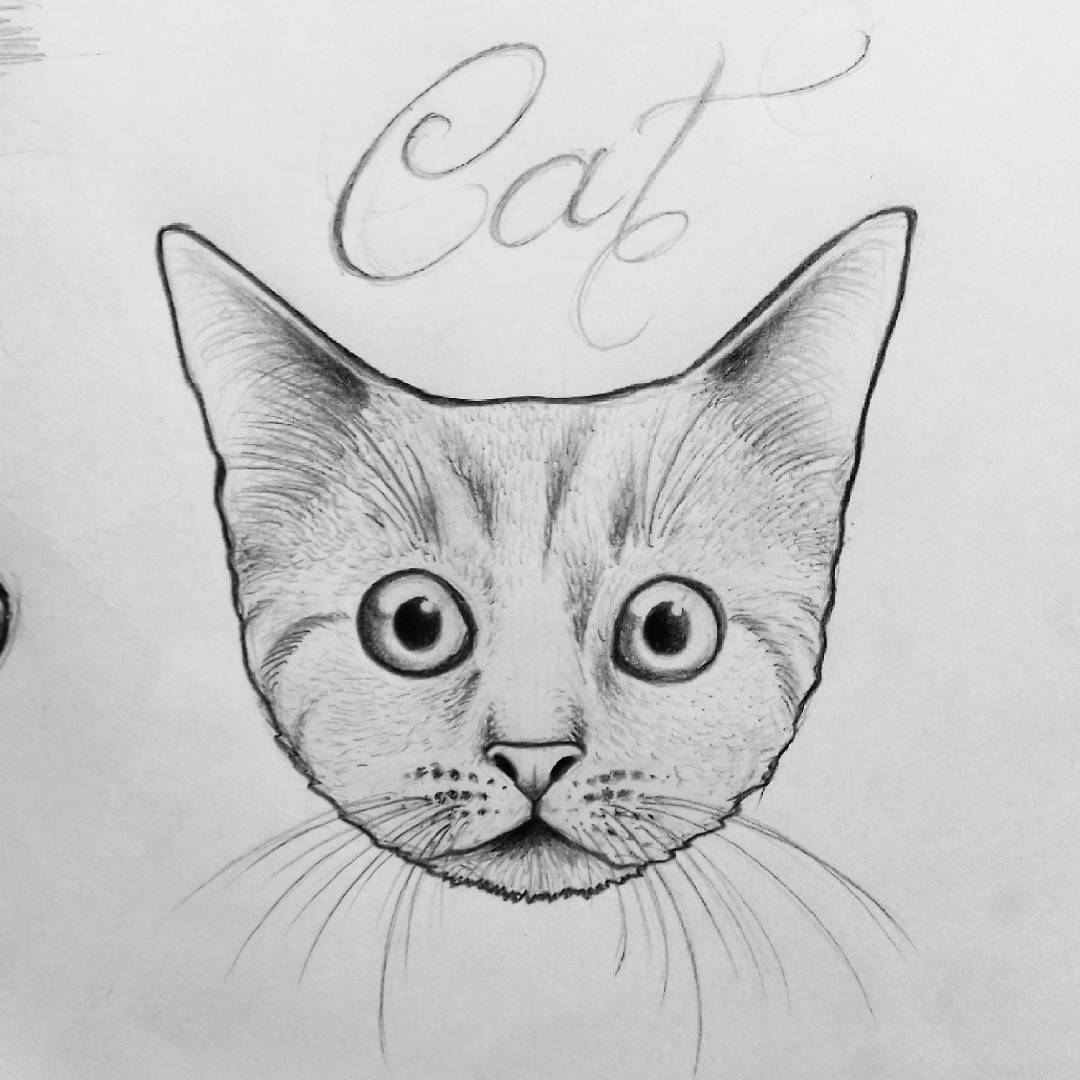 猫咪纹身手稿